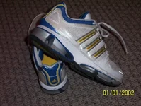 adidasexp.webp