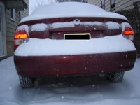 protege back copy.webp