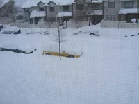 DSCF0295.webp