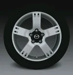 SFPLImage19900.webp