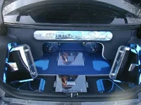 trunk(system).webp