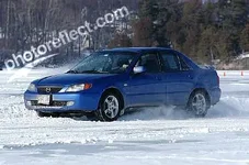 pic1.webp