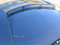 IMG_0028 (Large)copyright28.webp