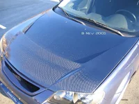 IMG_0033 (Large)copyright33.webp