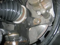 Imagen 004.webp