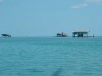 DSCF0012.webp