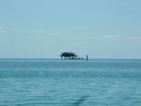 DSCF0014.webp
