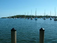 DSCF0040.webp