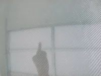 3-hood, CF1.webp
