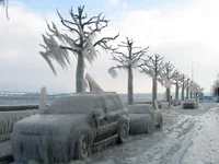 image003.webp