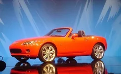 Orange NC.webp