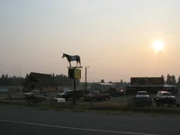 horse.sunset.webp