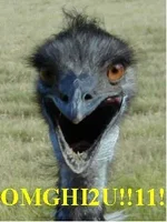 Ostrich.webp