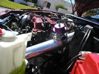 P1010023.webp