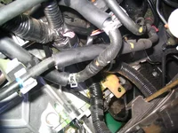 Picture 001.webp