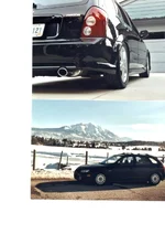 winter spec.webp