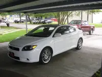 fresh wax.webp