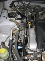 image002.webp