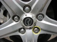 lugnut df.webp
