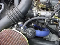 supersri 003.webp