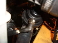 S4300216.webp