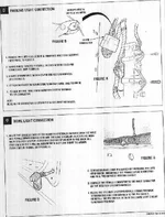 5.webp