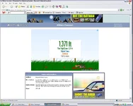kitten.webp