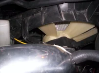 000_0031.webp
