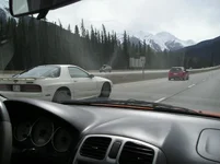 P1010004.webp
