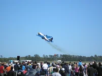 fatalbert1.webp