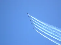 P4170054.webp