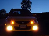foglight.webp
