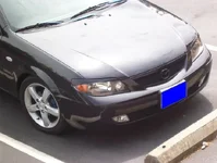 eyelids.webp