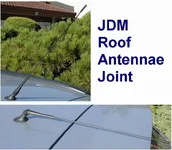 antennae.webp
