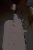 000_0884.webp