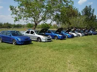 DSC00130.webp