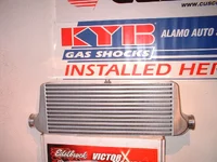 Adam's pic's 006.webp