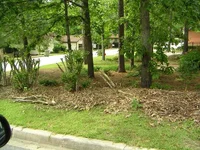 PICT0041.webp