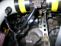 egr3.webp