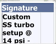 danasig1.webp
