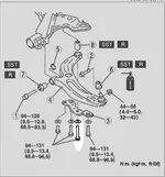 Lowerarm.webp