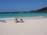000_1435.webp