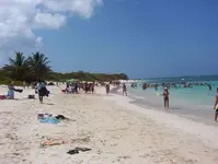 culebra2.webp