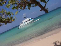 culebra8.webp