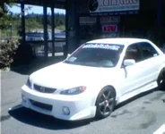 Picture 31.webp