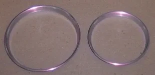she_rings.webp
