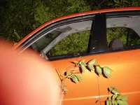 MSP wreck pics 026.webp