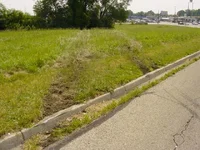 DSC01146.webp