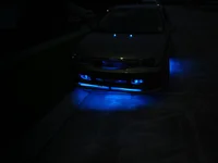 DSC01555.webp