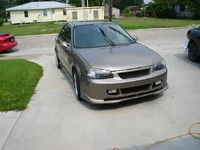 Picture 033.webp